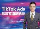 稳哥·如何投出高ROI的TikTok广告，开拓独立站卖家流量新蓝海-课程网