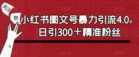 小红书图文号暴力引流4.0，日引300＋精准粉丝【揭秘】-课程网