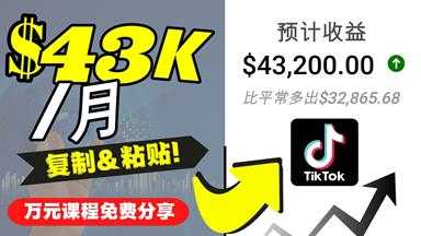 图片[1]-2022抖音国际版Tiktok赚钱项目：每天上传一个视频就轻松月入$43200-课程网