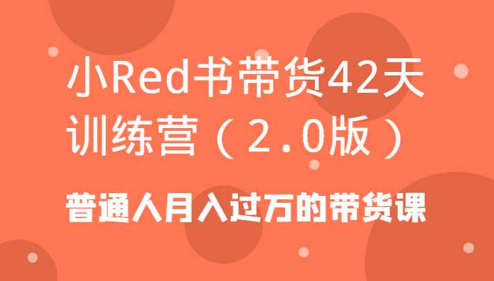 小Red书带货42天训练营（2.0版）普通人月入过万的带货课-课程网