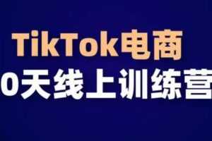 TikTok电商带货30天线上课，不可错过的全球流量洼地！-课程网