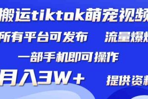 搬运Tiktok萌宠类视频，一部手机即可。所有短视频平台均可操作，月入3W+-课程网