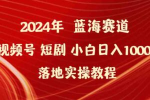 2024年蓝海赛道视频号短剧 小白日入1000+落地实操教程-课程网